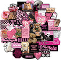 Y2K Stickers for Women and Teens, Retro Aesthetic Party Supplies, Waterproof Vinyl Stickers for Water Bottles and Laptop, 55PCS